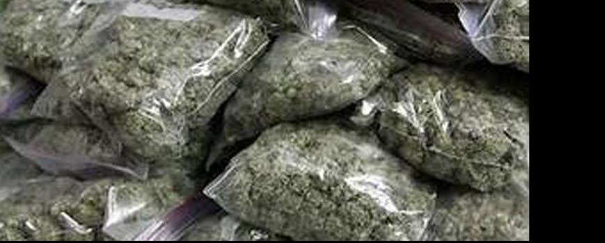 सीमाक्षेत्रमा सशस्त्र प्रहरीको सक्रियता  १६० किलो गाँजा बरामद